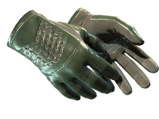 ★ Driver Gloves | Racing Green (Field-Tested)