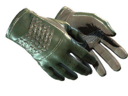 ★ Driver Gloves | Racing Green (Field-Tested)