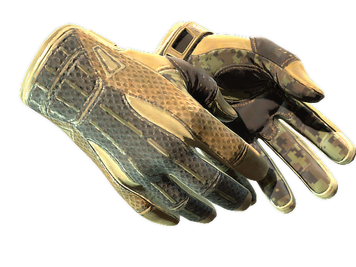 ★ Sport Gloves | Arid (Battle-Scarred)